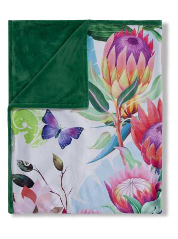 Hip Plaid "Chess" in Grün/ Bunt