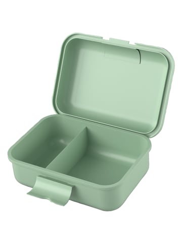 Haba Śniadaniówka "Forest" w kolorze zielonym - 12 m+