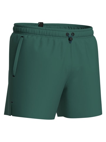 Arena Badeshorts in Dunkelgrün