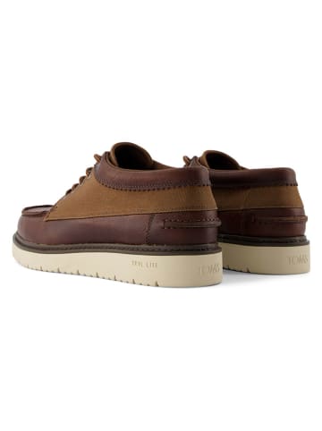 TOMS Sneakers in Braun
