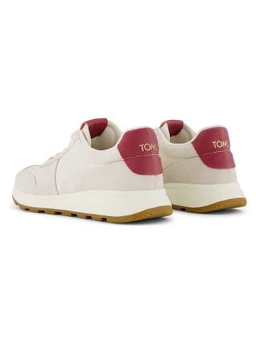 TOMS Sneakers in Creme