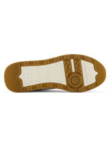 TOMS Sneakers in Creme
