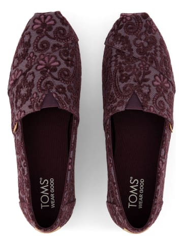 TOMS Espadrilles in Lila