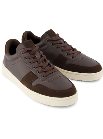TOMS Sneakers in Braun
