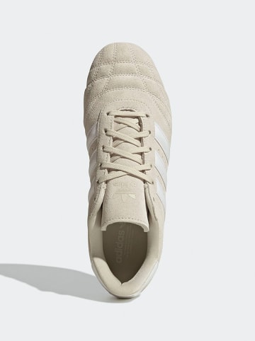 adidas Leder-Sneakers "Taekwondo Lace" in Beige