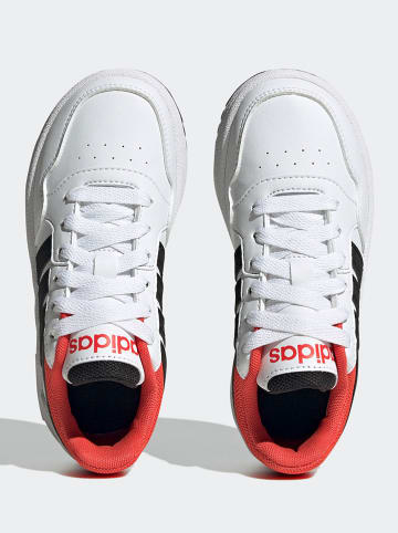 adidas Sneakersy "Hoops 3.0" w kolorze białym