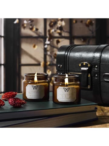 The Concept Factory DIY-Kerzenkit in Hellbraun - 2x 250 g