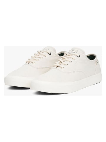 Tommy Hilfiger Sneakers in Creme