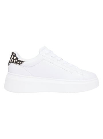 Tommy Hilfiger Leder-Sneakers in Weiß