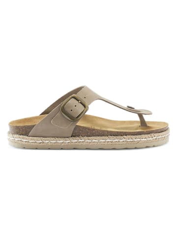 Mandel Leren teenslippers taupe