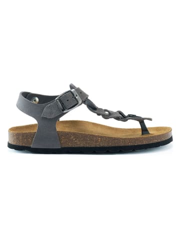 Mandel Leder-Zehensandalen in Grau