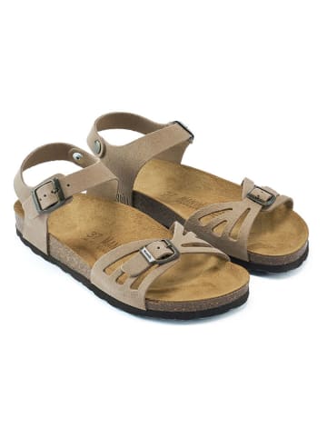 Mandel Leren sandalen taupe