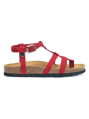 Mandel Leren teensandalen rood