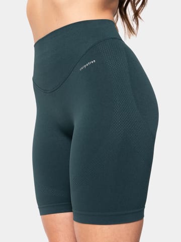 Carpatree Trainingsshorts "Accolade" in Grün