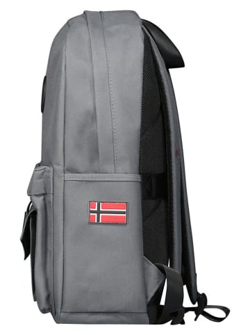 Geographical Norway Plecak "Serdon" w kolorze szarym - 30 x 42 x 12 cm