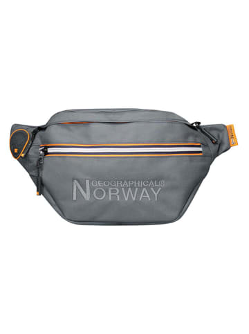 Geographical Norway Saszetka "Sapient" w kolorze szarym - 30 x 18 x 5 cm