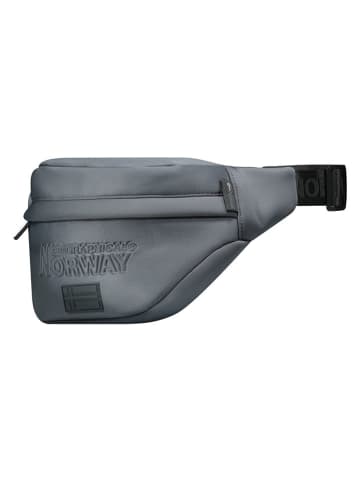 Geographical Norway Saszetka "Saltatory" w kolorze szarym - 28 x 18 x 9 cm
