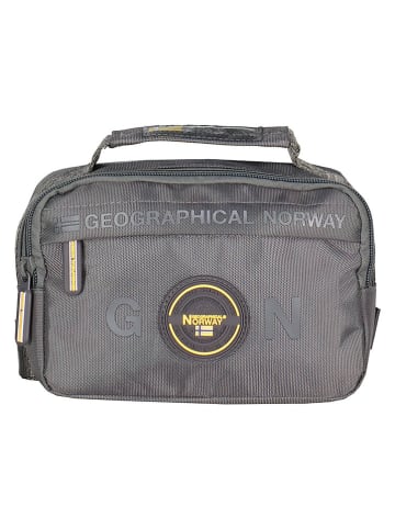 Geographical Norway Saszetka "Shelley" w kolorze szarym - 18 x 12 x 9 cm