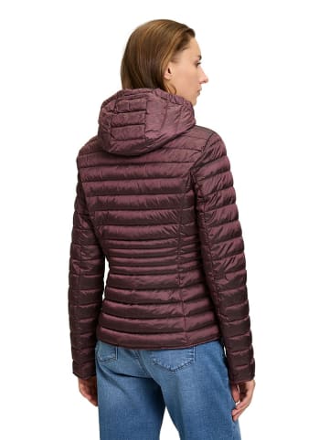 CARTOON Steppjacke in Bordeaux
