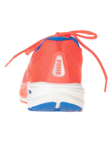 Puma Laufschuhe "Velocity Nitro 2" in Orange