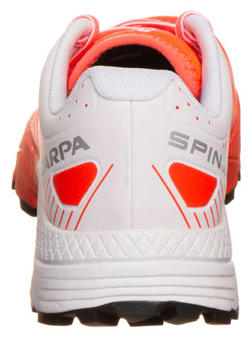 SCARPA Buty "Spin Ultra" w kolorze pomarańczowym do biegania