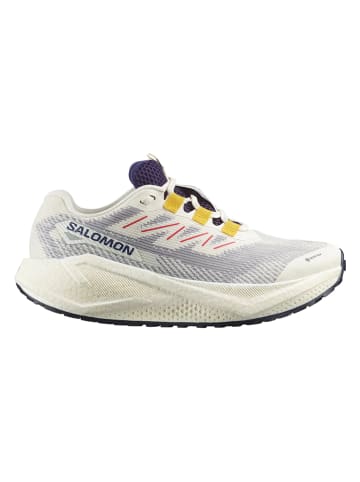 SALOMON Buty "Aero Blaze 3 GRVL GTX" w kolorze beżowo-szarym do biegania