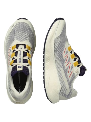 SALOMON Hardloopschoenen "Aero Blaze 3 GRVL GTX" beige/grijs