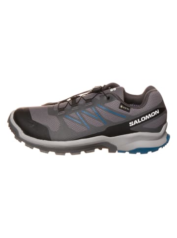 SALOMON Wandelschoenen "XA Flyer GTX" grijs