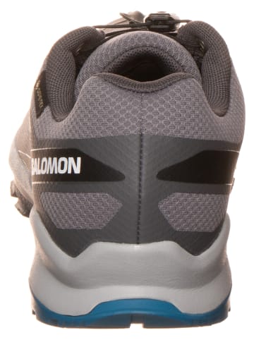 SALOMON Wandelschoenen "XA Flyer GTX" grijs