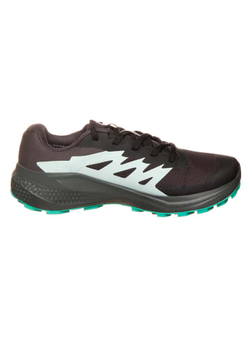 SALOMON Hardloopschoenen "Alphaglide Gtx" bruin/turquoise
