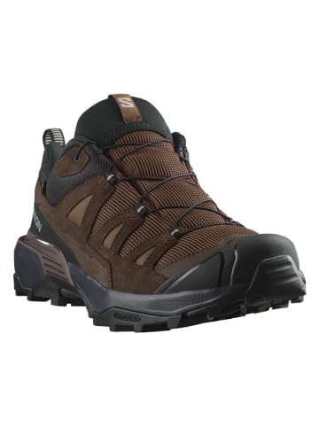 SALOMON Leder-Wanderschuhe "X Ultra 360 LTR GTX" in Braun