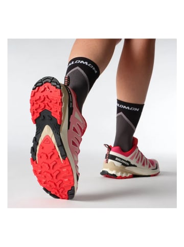 SALOMON Laufschuhe "XA Pro 3D V9" in Bunt