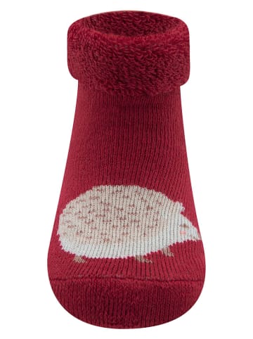 MaxiMo Socken in Rot