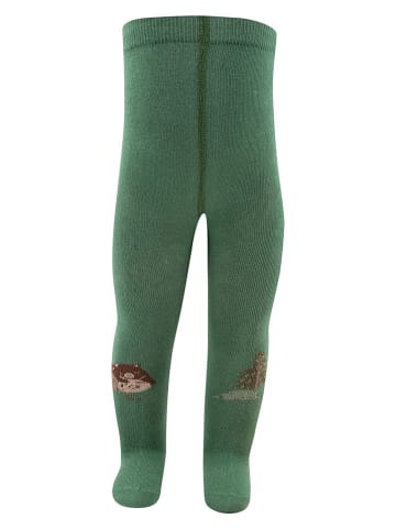 MaxiMo Strumpfhose in Grün