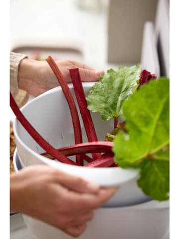 Rosti Zeef wit - 4 l