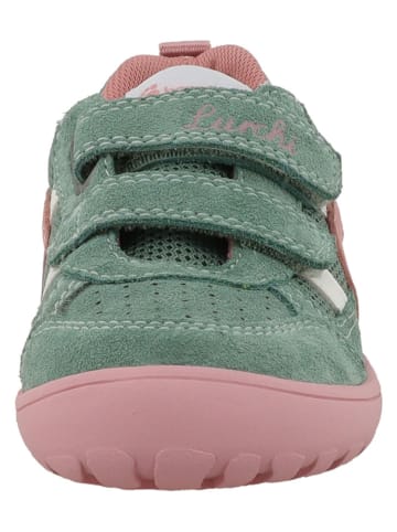 Lurchi Leder-Barfußschuhe "Jago" in Türkis