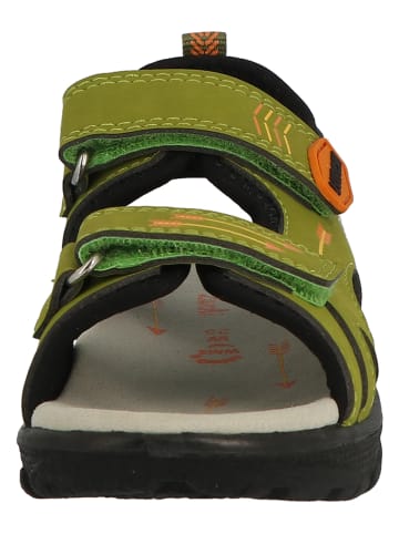 Lurchi Sandalen in Grün