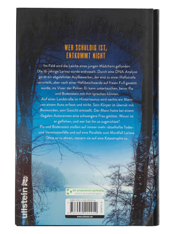 Ullstein Buchverlage Krimi "Monster (Ein Bodenstein-Kirchhoff-Krimi 11)"