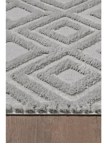 Conceptum Hypnose Hochflor-Teppich ''0C830B'' in Grau