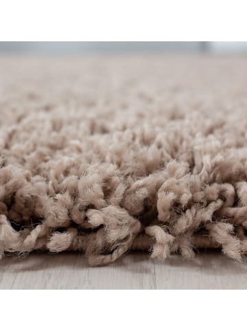 Conceptum Hypnose Hochflor-Teppich ''Life 1500'' in Beige