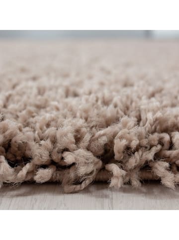 Conceptum Hypnose Hochflor-Teppich ''Life 1500'' in Beige