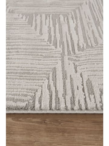 Conceptum Hypnose Kurzflor-Teppich ''Marla'' in Grau/ Creme
