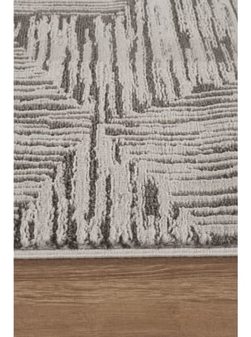 Conceptum Hypnose Laagpolig tapijt ''Marla'' crème/grijs