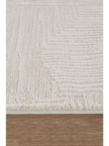 Conceptum Hypnose Kurzflor-Teppich ''Marla'' in Creme