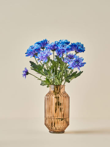 BELLA MAISON Wazon "Nilda" w kolorze jasnobrązowym - wys. 23 x Ø 12 cm