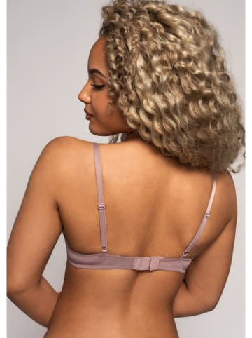 After Eden Biustonosz "Bodine" w kolorze szarobrązowym