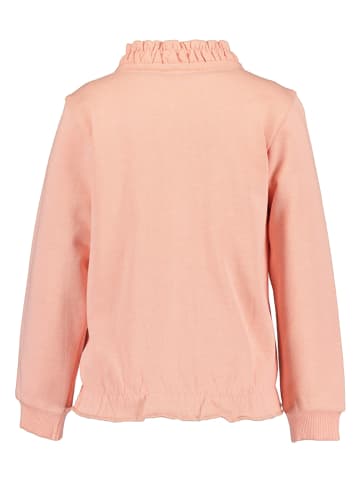 Blue Seven Sweatjacke in Apricot