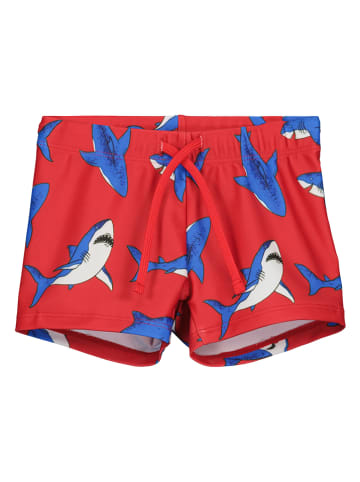 Blue Seven Badeshorts in Rot/ Blau