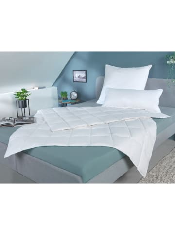 Häussling Bettwaren Sommer-Daunendecke in Weiß