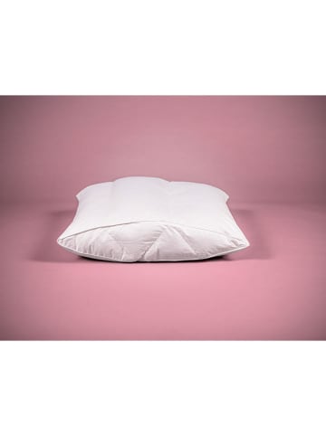 Häussling Bettwaren Poduszka w kolorze białym
